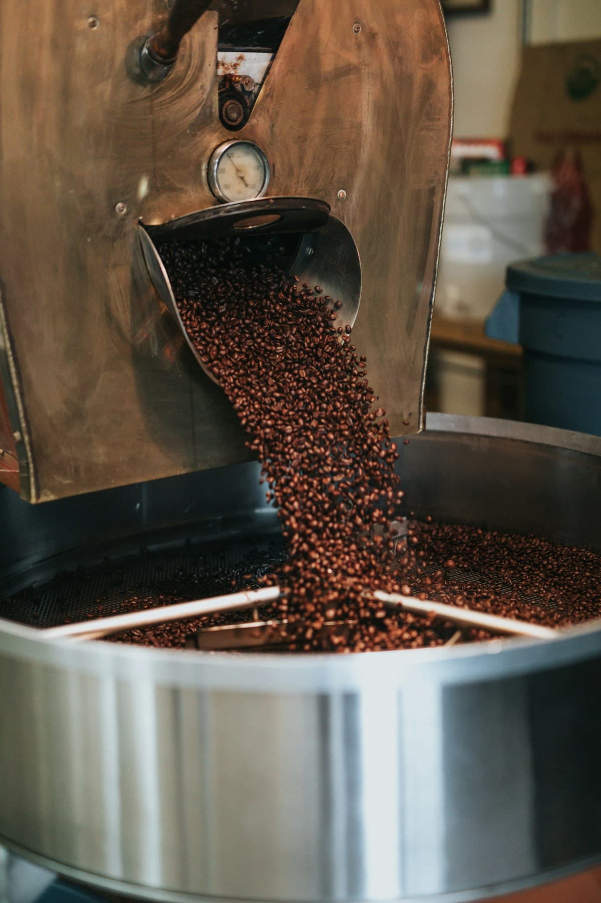 Roasted coffee beans in container